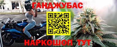 гашик Аргун