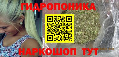 гашик Аргун