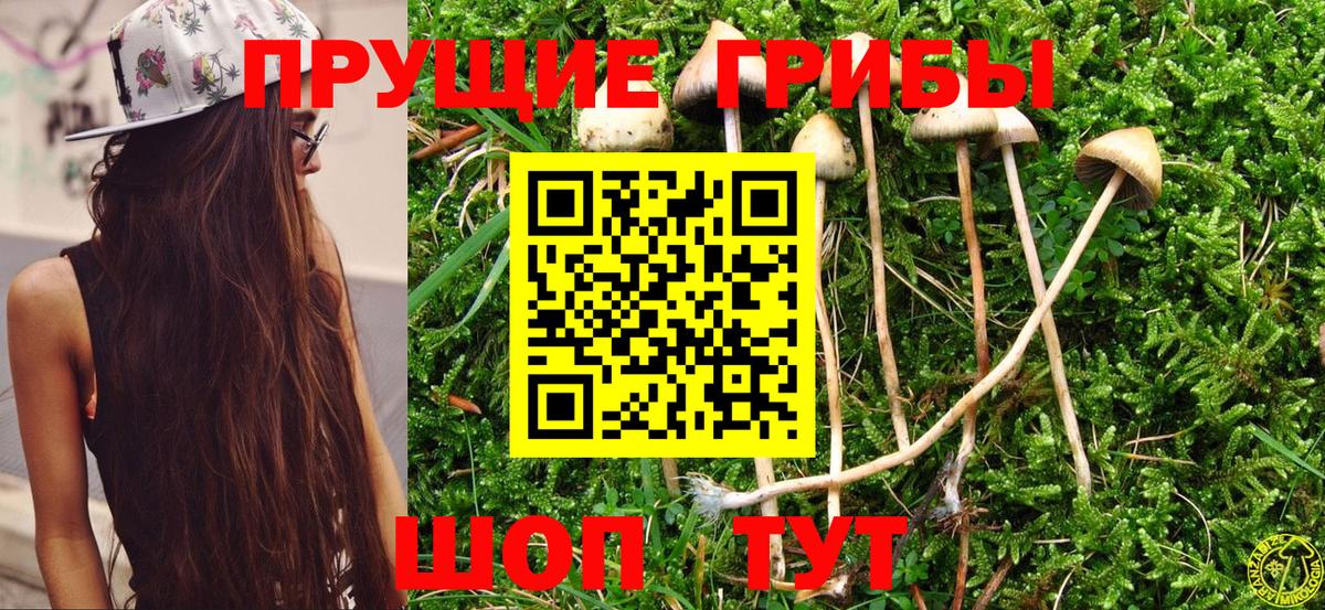 Псилоцибиновые грибы прущие грибы  Псилоцибиновые грибы Psilocybine cubensis  Топки  Вход с VPN 