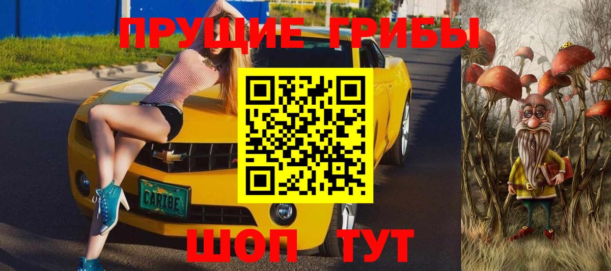 дарнет шоп  Топки  Галлюциногенные грибы Cubensis 